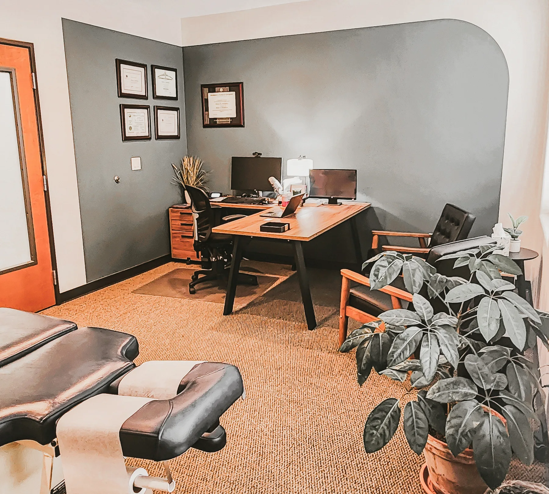 Doctor's office at Red Mountain Natural Medicine in Boise — chiropractic adjustment table, wooden desk with telehealth monitors, framed credentials on the wall, and a large plant