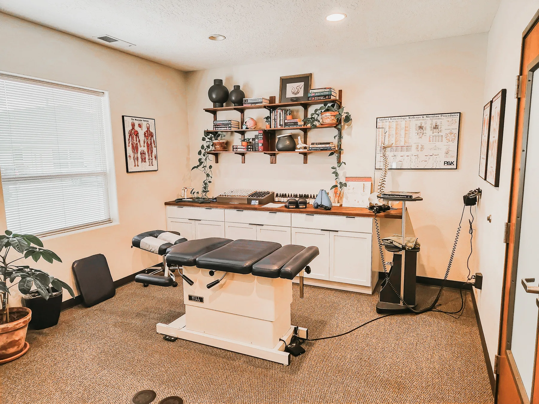 Treatment room at Red Mountain Natural Medicine with chiropractic adjustment table, Applied Kinesiology and muscular system charts, and supplement testing kit on the counter